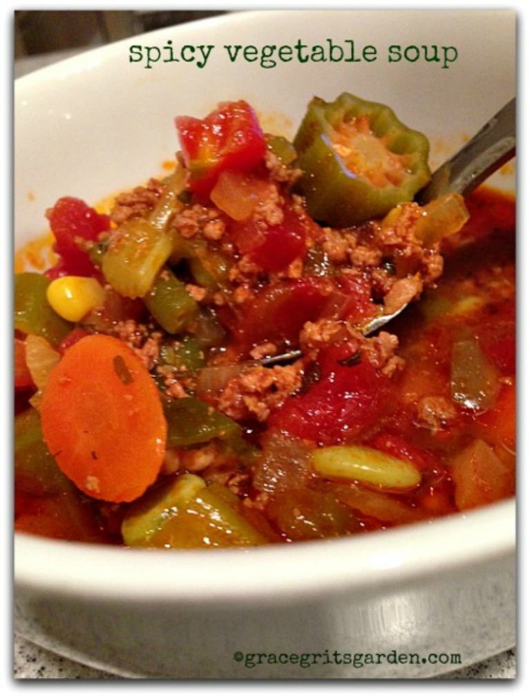 Spicy Vegetable Soup grace grits and gardening