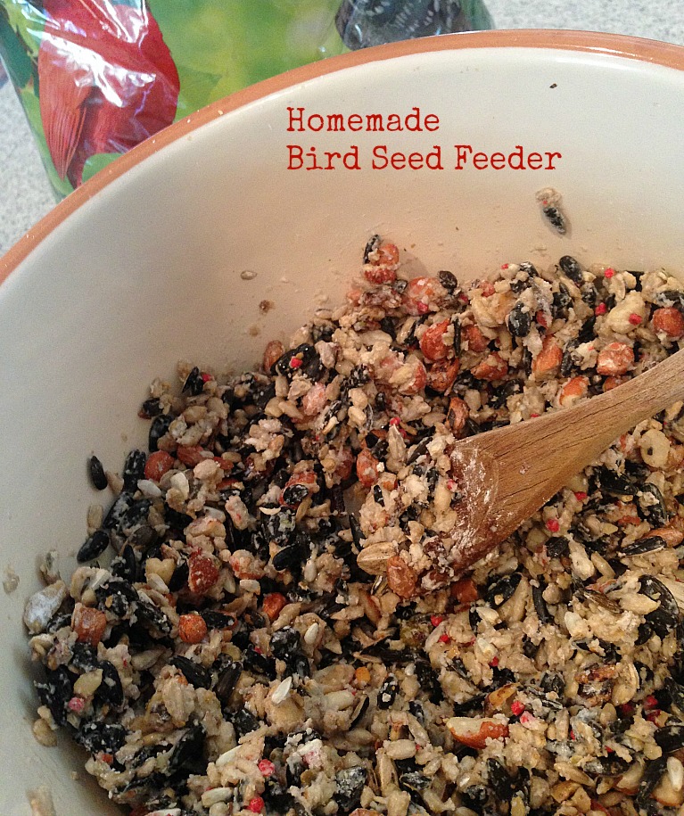 How to Make Valentine Bird Seed Feeders grace grits and gardening