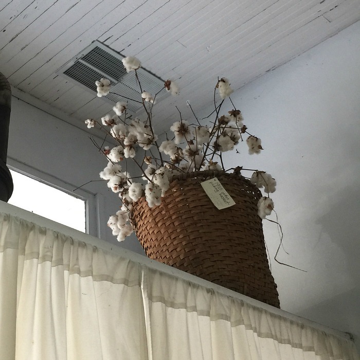 Pictured Delta Cotton grace grits and gardening