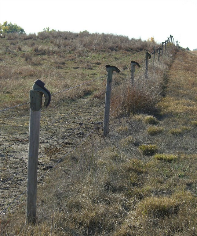 farm art friday: boots on fence
