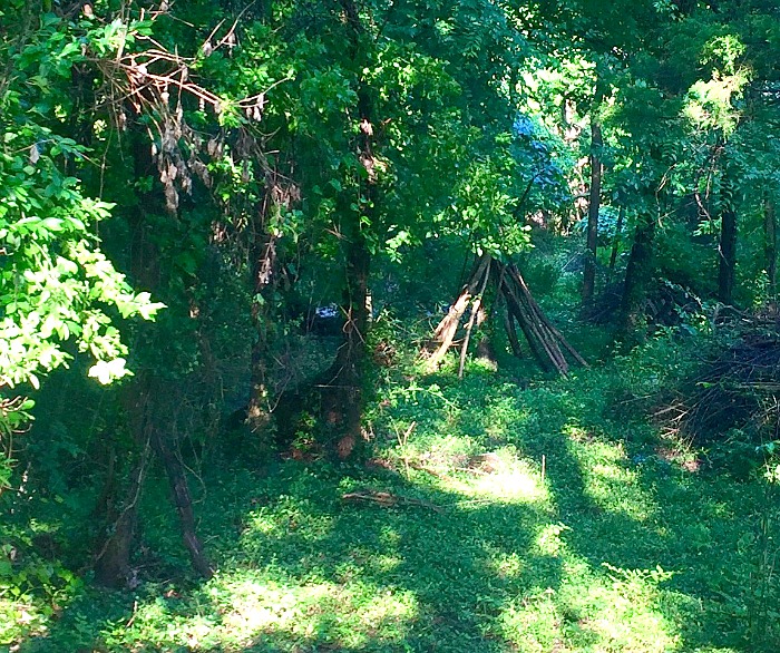 Secret Gardens of Fayetteville